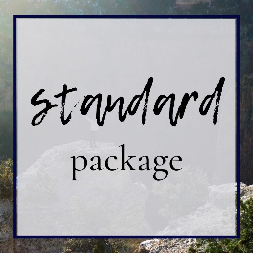 business accelerator program standard package graphic