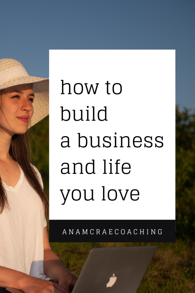 how to build a business and life you love