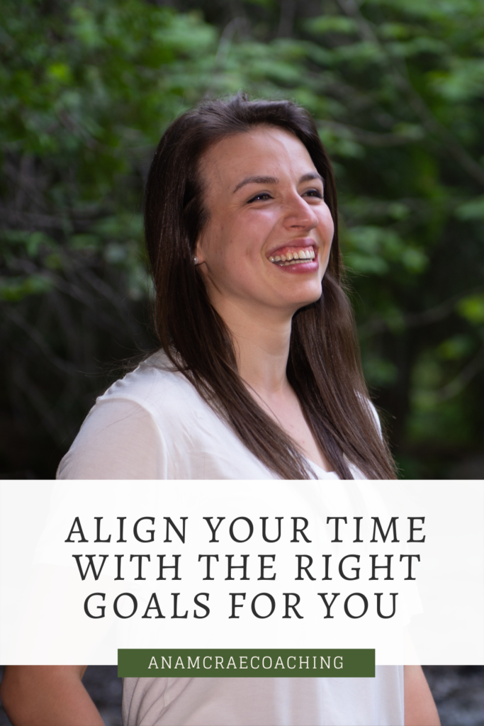 working on the right goals; forget what everybody else thinks; how to set goals that feel right for you; align your time and energy with your personal definition of success and your personal values; are you working on the right things?