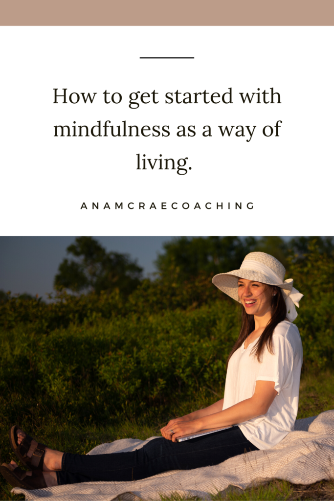 mindfulness, mindful, present moment, happier, happiness, slow down, voice in the head, how to be mindful, how to live in the present moment, how to stay present, how to stay grounded and connected, ultimate guide to mindfulness, how to meditate, benefits of mindfulness, how to start a mindfulness practice