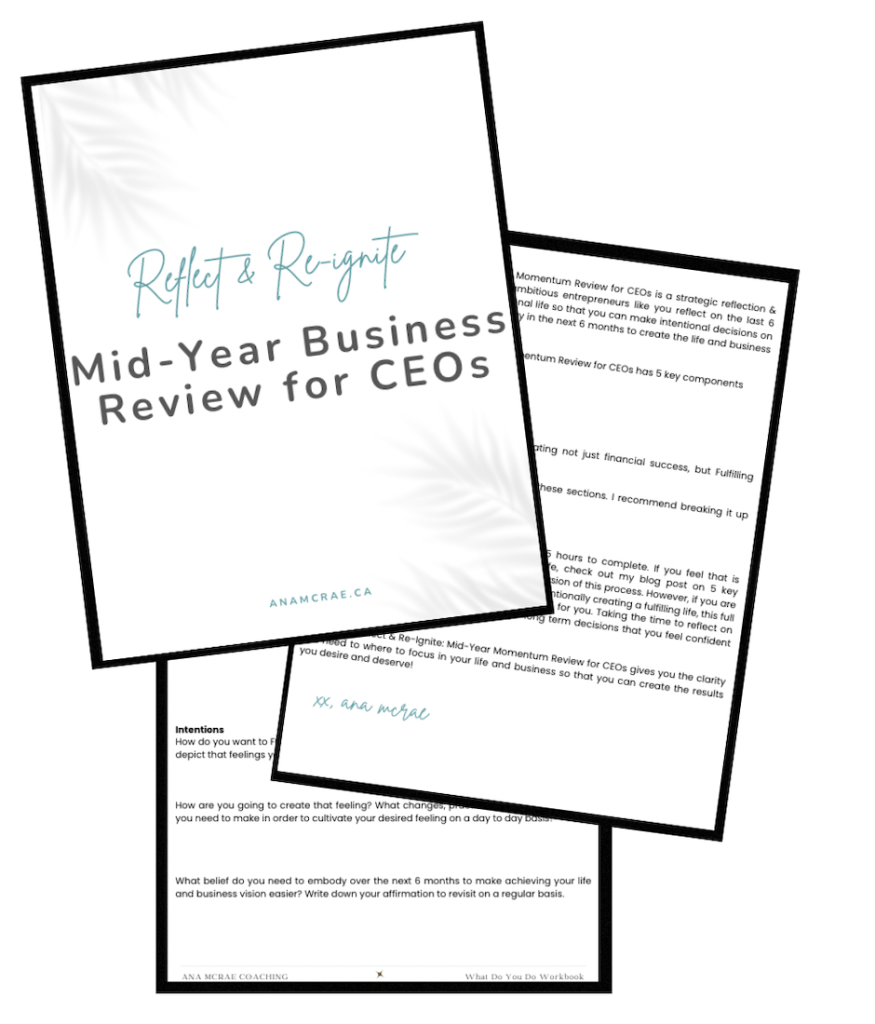 midyear business review and midyear goal review process for CEOs and entrepreneurs