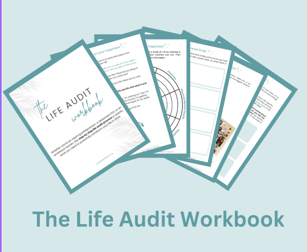 Life Audit workbook